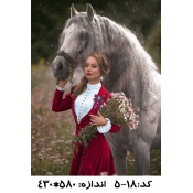 نخ و نقشه تابلو فرش طرح همراه با اسب