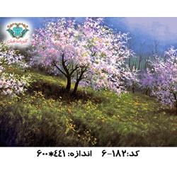6-182